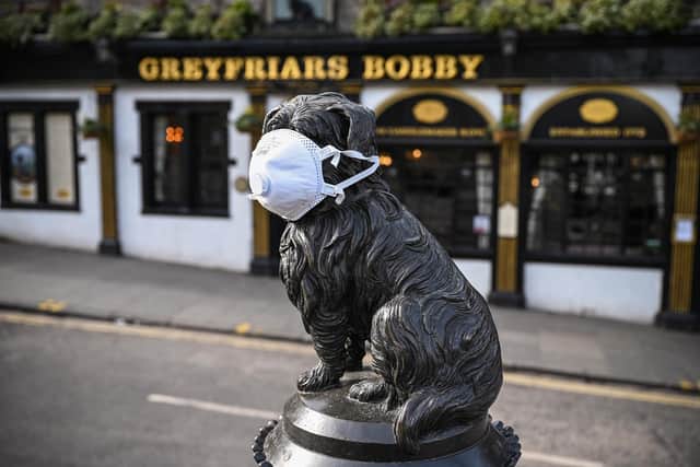 Greyfriars Bobby masked up during Covid to prevent the spread of the virus and protect his nose.