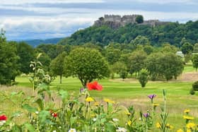 Wild flowers in Kings Park, below Stirling Castle. The Roman road was found in a garden near Stirling