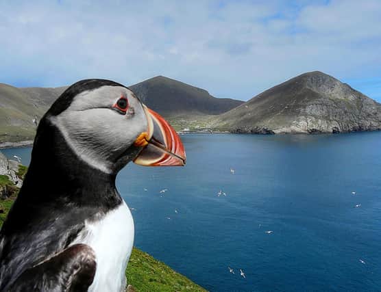 A postcard from St Kilda: Mail sent by St Kilda mail boat has finally reached its destination 10 years after it set sail from the island. The post was found washed up on a beach in Norway. PIC: NTS/PA Wire.