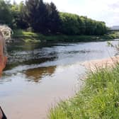 Dr Brady-Van den Bos will be fundraising to support the River Dee Trust.