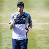 Andy Murray will face Matteo Berrettini in the final of the Boss Open in Stuttgart.