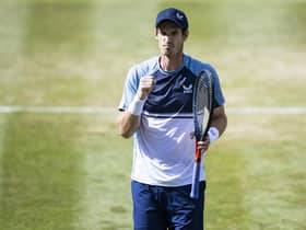 Andy Murray will face Matteo Berrettini in the final of the Boss Open in Stuttgart.