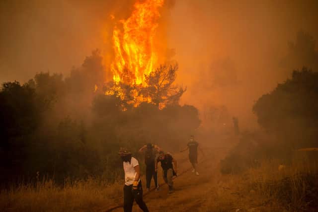 People trying a fire in the village of Villa,  north-west of Athens, move back as smoke fills the air (Picture: Angelos Tzortzinis/AFP via Getty Images)