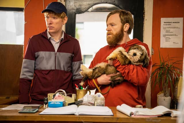Brothers Doomhnall and Brian Gleeson are O'Dumb and O'Dumber in Frank of Ireland