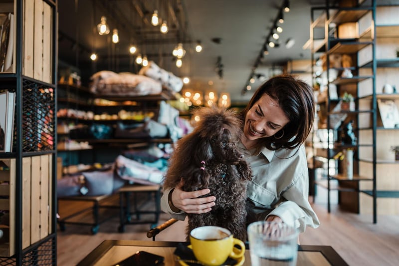 Dogs don't get much more intelligent than the Poodle and they are very adaptable to new places and situations. Any nervousness on their first pub visit will soon disappear and before you know it they'll be looking forward to popping in with you.