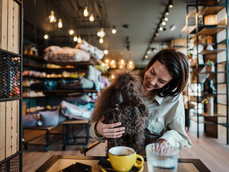 Dogs don't get much more intelligent than the Poodle and they are very adaptable to new places and situations. Any nervousness on their first pub visit will soon disappear and before you know it they'll be looking forward to popping in with you.