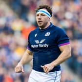 Hamish Watson in action for Scotland during the Autumn Nations Series win over Australia. (Photo by Ross Parker / SNS Group)