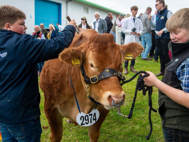 The Royal Highland Show Day 1