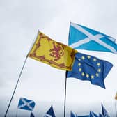 A rally of independence supporters held at Glasgow Green. Picture: John Devlin