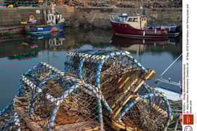 Humza Yousaf has been accused of being 'out of touch' with rural Scotland as his first major policy speech fails to mention farming and fishing (Philip Silverman/Shutterstock)