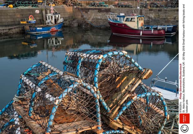 Humza Yousaf has been accused of being 'out of touch' with rural Scotland as his first major policy speech fails to mention farming and fishing (Philip Silverman/Shutterstock)