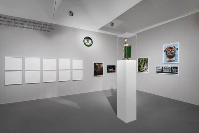 Installation view of work by Ingrid Pollard at Tate Liverpool PIC: Matt Greenwood