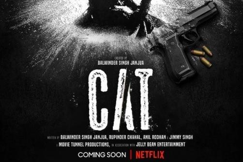 This Indian crime series follows a former police informant who is sent to infiltrate a drug empire, only to discover some dark secrets from his past.