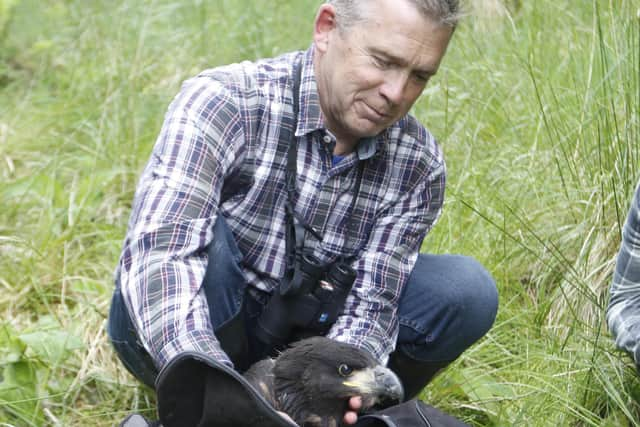 RSPB Scotland's Mull officer Dave Sexton carefully packs up a Scottish-born sea eagle chick - ready for its journey to the Isle of Wight, where it will be part of a new project to reintroduce the species to England