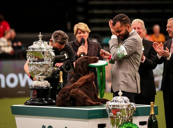 Baxter the flat-coated retriever is crowned as Best in Show at Crufts 2022.