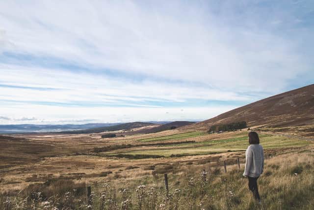 There is growing concern around spiraling land values in Scotland as wealthy investors chase land for increasingly lucrative carbon reduction schemes, such as tree planting and peatland restoration, with local communities largely frozen out of the financial benefits of cutting carbon emissions. PIC: Picsels.