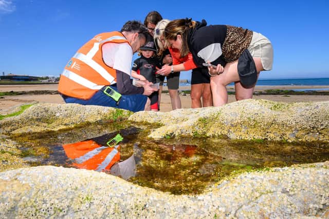 ScottishPower Foundation Trustees, Lousie Smith and Melanie Hill, join Dr Ben Holt, CEO of The Rock Pool Project, as the debut Scottish BioBlitz event takes place. Hermit crabs and sea hares were among the first finds within St Andrews’ rock pools as part of the community-driven initiative, part funded by the ScottishPower Foundation.