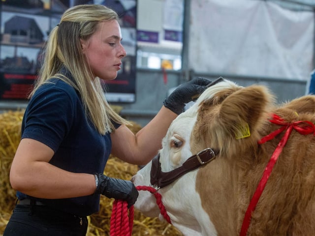 The Royal Highland Show Day 1