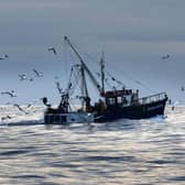 Conservationists have warned that “mismanagement” of the UK and EU’s seas is set to continue after negotiators agreed new catch quotas for fishing in 2023.