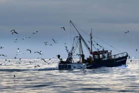 Conservationists have warned that “mismanagement” of the UK and EU’s seas is set to continue after negotiators agreed new catch quotas for fishing in 2023.