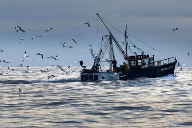 Conservationists have warned that “mismanagement” of the UK and EU’s seas is set to continue after negotiators agreed new catch quotas for fishing in 2023.