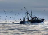 Conservationists have warned that “mismanagement” of the UK and EU’s seas is set to continue after negotiators agreed new catch quotas for fishing in 2023.