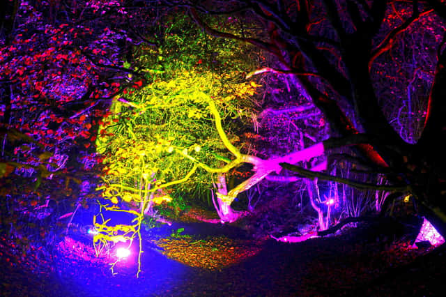 A lighting display for A Christmas Miracle event at Rough Castle. Picture: Michael Gillen