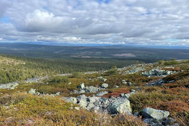 Fulufjället National Park lies in the region of Dalarna, a four-hour drive from Stockholm on the border with Norway, where the forests and peaks make it popular for hiking. Pic: PA Photo/Sarah Marshall.