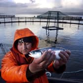 Salmon farms play a key role in the rural economy (Picture: David Cheskin/PA)