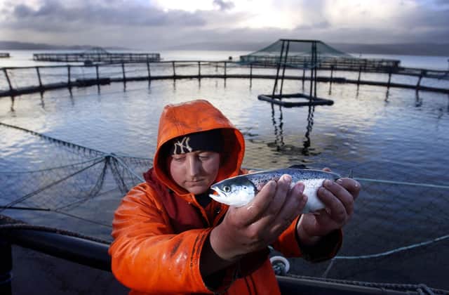 Salmon farms play a key role in the rural economy (Picture: David Cheskin/PA)