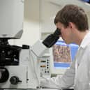 The new technology keeps proteins so stable that they can even be sent through the post with no loss of effectiveness.
