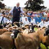 Blackface sheep are judged in the ring at the Royal Highland Centre