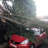 EDITORS NOTE: NUMBER PLATE PIXELATED BY PA PICTURE DESK AS REQUESTED 

Handout photo of a fallen tree on a car in Aberfeldy, Scotland,  as a result of storm Otto. The storm, the first to be named this winter, has been labelled Otto by the Danish Meteorological Institute (DMI) and is expected to bring disruption to travellers across northern areas of the UK. Issue date: Friday February 17, 2023. PA Photo. See PA story WEATHER Storm. Photo credit should read: PA/PA Wire 

NOTE TO EDITORS: This handout photo may only be used in for editorial reporting purposes for the contemporaneous illustration of events, things or the people in the image or facts mentioned in the caption. Reuse of the picture may require further permission from the copyright holder. 