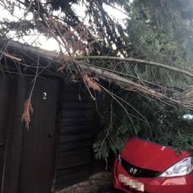 EDITORS NOTE: NUMBER PLATE PIXELATED BY PA PICTURE DESK AS REQUESTED Handout photo of a fallen tree on a car in Aberfeldy, Scotland,  as a result of storm Otto. The storm, the first to be named this winter, has been labelled Otto by the Danish Meteorological Institute (DMI) and is expected to bring disruption to travellers across northern areas of the UK. Issue date: Friday February 17, 2023. PA Photo. See PA story WEATHER Storm. Photo credit should read: PA/PA Wire NOTE TO EDITORS: This handout photo may only be used in for editorial reporting purposes for the contemporaneous illustration of events, things or the people in the image or facts mentioned in the caption. Reuse of the picture may require further permission from the copyright holder. 