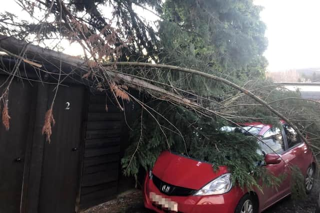 EDITORS NOTE: NUMBER PLATE PIXELATED BY PA PICTURE DESK AS REQUESTED 

Handout photo of a fallen tree on a car in Aberfeldy, Scotland,  as a result of storm Otto. The storm, the first to be named this winter, has been labelled Otto by the Danish Meteorological Institute (DMI) and is expected to bring disruption to travellers across northern areas of the UK. Issue date: Friday February 17, 2023. PA Photo. See PA story WEATHER Storm. Photo credit should read: PA/PA Wire 

NOTE TO EDITORS: This handout photo may only be used in for editorial reporting purposes for the contemporaneous illustration of events, things or the people in the image or facts mentioned in the caption. Reuse of the picture may require further permission from the copyright holder. 