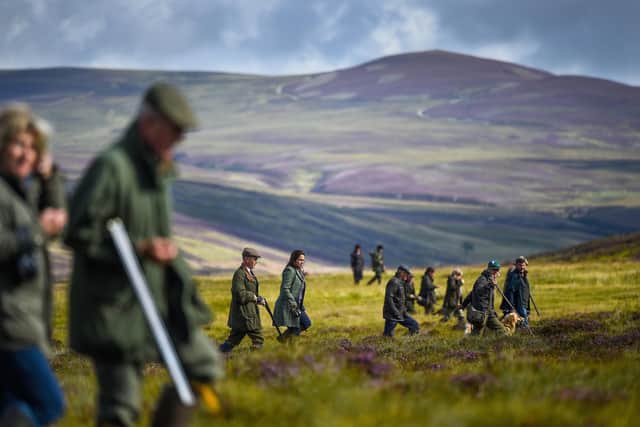 The Scottish Government has give commitment to license  driven-grouse moors.  (Photo by Jeff J Mitchell/Getty Images)
