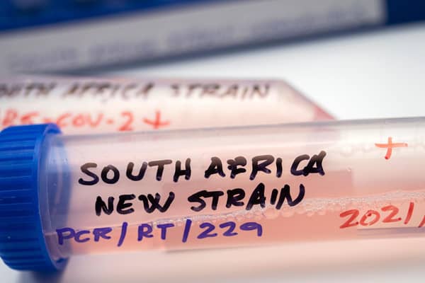 The discovery of a new Covid variant in South Africa has sparked fresh travel restrictions in the UK. Photo: felipecaparros / Canva Pro.