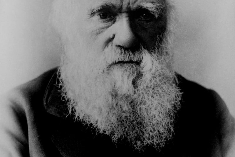 Legendary scholar and arguably history’s most famous biologist, Charles Darwin, went to University of Edinburgh Medical School between 1825 - 1827. His father pushed him to do so, however, Darwin quickly discovered that the life of a surgeon was not for him. Instead, his career as a Naturalist took off and he wrote groundbreaking texts such as On the Origin of Species, an outline of Evolution.