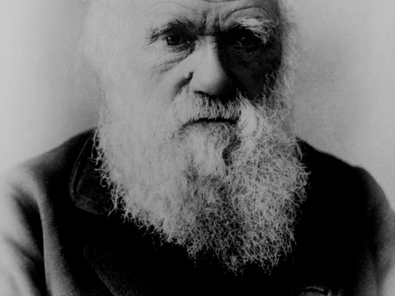 Legendary scholar and arguably history’s most famous biologist, Charles Darwin, went to University of Edinburgh Medical School between 1825 - 1827. His father pushed him to do so, however, Darwin quickly discovered that the life of a surgeon was not for him. Instead, his career as a Naturalist took off and he wrote groundbreaking texts such as On the Origin of Species, an outline of Evolution.
