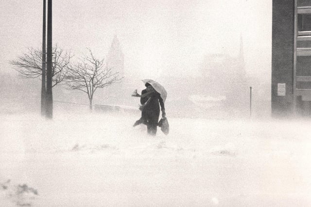 Blizzard conditions on Manor Oaks Road on January 14, 1987