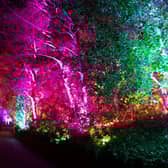 The bright lights of Edinburgh Zoo's Christmas Nights events will be making their return for a second year running, RZSS has announced.