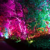 The bright lights of Edinburgh Zoo's Christmas Nights events will be making their return for a second year running, RZSS has announced.