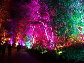 The bright lights of Edinburgh Zoo's Christmas Nights events will be making their return for a second year running, RZSS has announced.