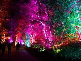 The bright lights of Edinburgh Zoo's Christmas Nights events will be making their return for a second year running, RZSS has announced.