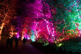 The bright lights of Edinburgh Zoo's Christmas Nights events will be making their return for a second year running, RZSS has announced.
