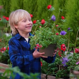 April’s Little Seedlings Club will explore wildflowers as shown by Little Seedlings Ambassador Fergus Bisset (6)