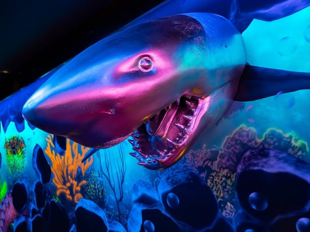 It is hoped that Paramount’s latest transformation will give a much-needed boost to the city’s nightlife scene just in time to welcome university students for the start of the new year, as well as local partygoers.
