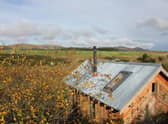 Wilderkin has stunning views over the Borders countryside to the Pentland Hills.