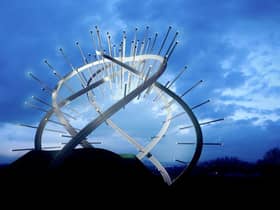 Losing its shine: The Star of Caledonia could be reduced in size
(Pic:Gretna Landmark Trust)