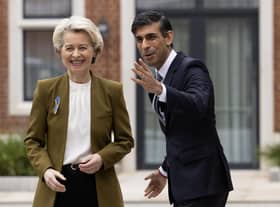 Rishi Sunak greets EU Commission President Ursula von der Leyen in Windsor this week (Picture: Dan Kitwood/WPA pool/Getty Images)